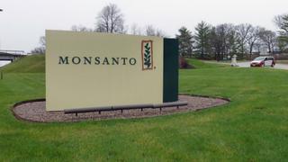 Manifestaciones mundiales contra Monsanto y Bayer este fin de semana