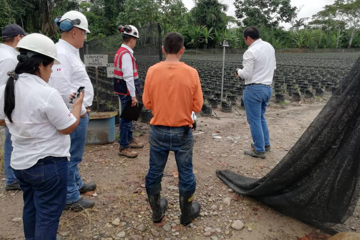 San Martín: Sunafil paraliza trabajos en campo de pampa aceitera, donde empresa ponía en riesgo biológico y físico de 191 trabajadores (Foto: Sunafil)