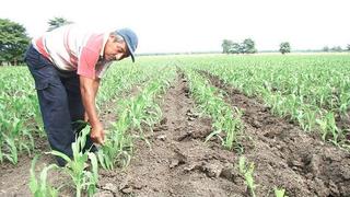 Gobierno observó autógrafa de ley que modifica Junta de Usuarios de Agua