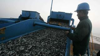 Producción de harina de pescado caería hasta en 40%