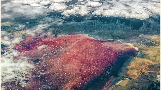 El Lago de Calcio Mortal. El lago Natron, al norte de Tanzania, es particularmente rico en sales minerales y en bicarbonato de sodio. En esta atmósfera tan particular sólo algunas contadas especies sobreviven. Quienes por error se aventuran ahí, se quedan