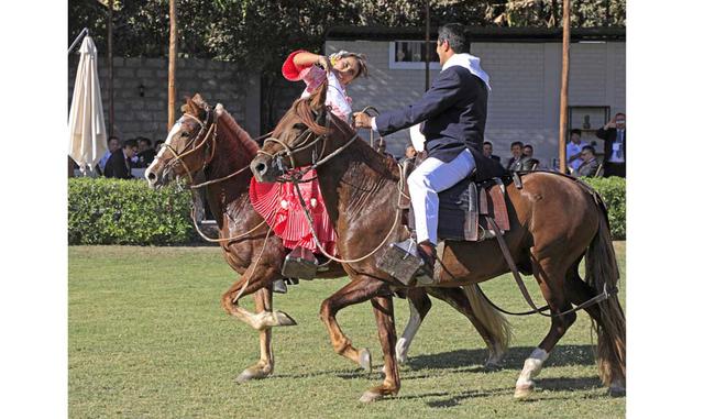 FOTO 9 | Asimismo, Pisco Morez en Pisco Puro de uva Uvina; Marques del Monte en Pisco Puro de uva Italia; Cuatro Gallos en Pisco Puro de uva Moscatel.