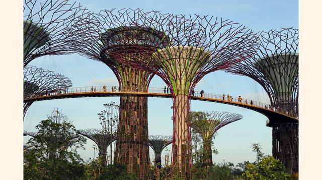 OCBC SKYWAY, SINGAPUR. Una gran pasarela a 22 metros del suelo, un paseo de 128 metros de largo que descubre con vista aérea los Jardines de la Bahía (Gardens by the Bay), en Singapur, un parque con 101 hectáreas con cascadas, lagos y plantas tropicales. 