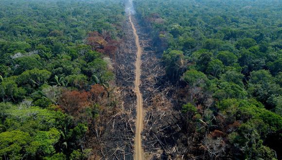 Lula ha prometido ponerle fin a la deforestación neta en la Amazonía brasileña para el año 2030. (Foto: AFP)