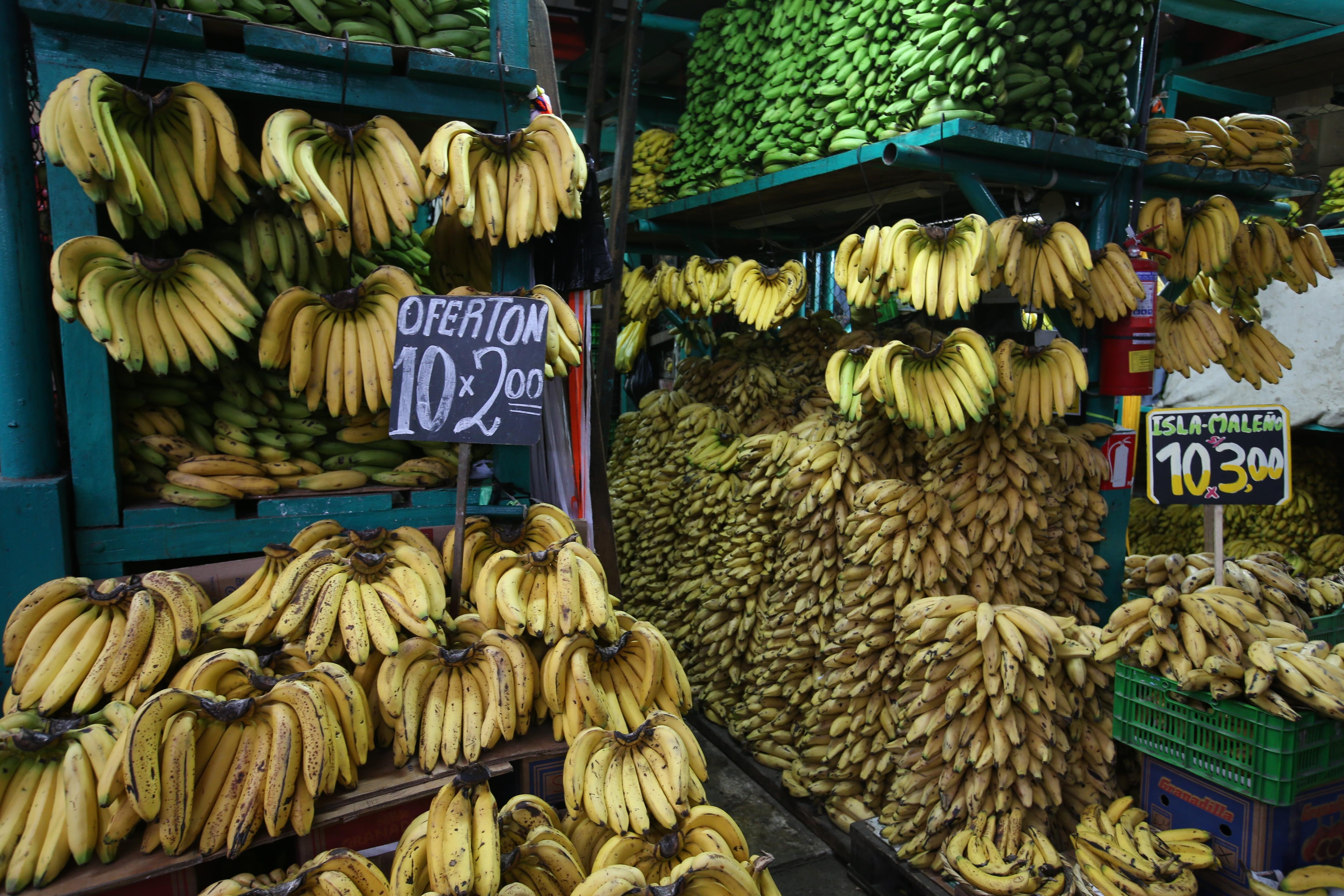 En el 2018 se produjeron más de dos millones de toneladas de plátanos en el Perú. (Foto: GEC)