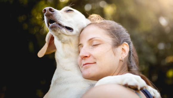 Cuando añadieron oxitocina a los ojos de los animales, su volumen de lágrimas también aumentó, lo que apoya la idea de que la liberación de esta hormona desempeña un papel en la producción de lágrimas cuando los perros y su gente vuelven a estar juntos. (Foto: iStock)