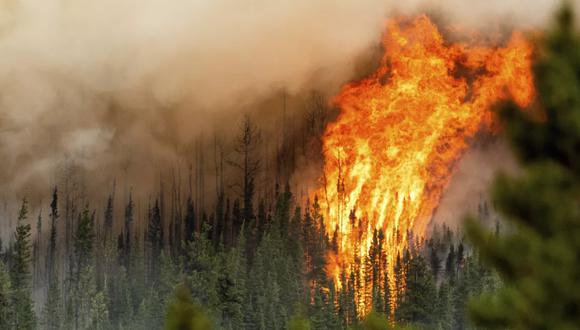 Los incendios han consumido 8,8 millones de hectáreas (27,7 millones de acres), un área del tamaño del estado de Virginia. (Foto: AP)