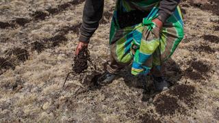 Ejecutivo promulgó nueva ley agraria, pese a considerarla “imperfecta”