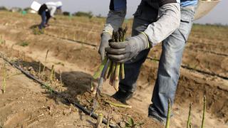 Agricultores con deudas vencidas podrán acceder a créditos hasta el 31 de diciembre