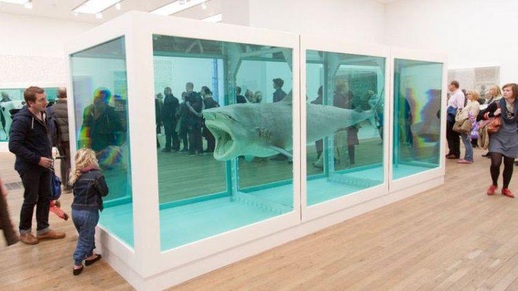 Foto 1 | 1. El tiburón preservado de 4 metros de Steve Cohen
Mucha gente rica tiene tanques de peces impresionantes, pero eso es un juego de niños en comparación con tener tu propio tiburón en escabeche. En 2004, el multimillonario gestor de fondos de cobertura Steve Cohen compró lo que podría ser la pieza de arte contemporáneo más exclusiva del mundo: un tiburón tigre de cuatro metros preservado con una combinación de alcohol y formaldehído. Originalmente comprado por 93,000 dólares en 1992 por el magnate de arte Charles Saatchi, Cohen adquirió la pieza, oficialmente llamada "Imposibilidad física de la muerte en la mente de alguien que vive", más de una década después por un monto no revelado, que la New York Magazine informó que rondaba entre los 8 y 12 millones de dólares (mdd).
Costo: Entre US$ 8 a 12 millones.
(Foto: Alex Segre / REX / Shutterstock)