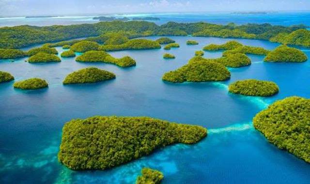 PALAU. Palau, oficialmente denominada como República de Palau, es un país insular que se encuentra en el océano Pacífico. Con una superficie de 466 kilómetros cuadrados, Palau se compone de unas 340 islas nada más y nada menos. La rica vida marina del paí