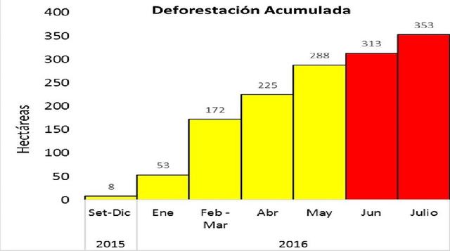 ACA y ACCA señalan que aunque la tasa de aumento de la deforestación ha disminuido desde abril, fecha en que el gobierno peruano ha instalado un puesto de control permanente en la zona, es evidente que la deforestación continúa expandiéndose.