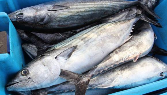 El consumo de pescado ha aumentado en los últimos años. (Foto: difusión)