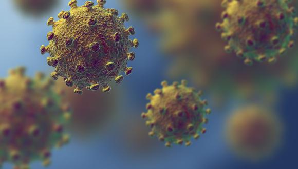 El nuevo virus, bautizado 2019-nCoV, y el del SRAS pertenecen a la misma familia de los coronavirus y en el plano genético tienen 80% de similitudes. (Foto referencial: Shutterstock)