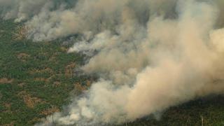 Redes mafiosas usan violencia para deforestar y quemar la Amazonía, según HRW