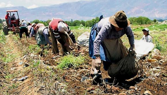 La pequeña agricultura fue la principal beneficiada. (Foto: Andina)
