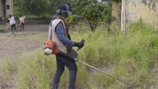 Dengue en Perú: conoce qué significa la declaratoria de emergencia sanitaria