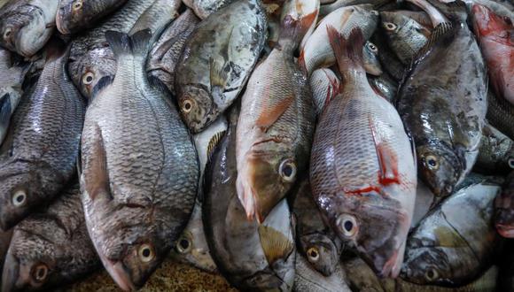 Los precios de los pescados y mariscos subieron 8.0% en setiembre, en comparación con el mismo periodo del año anterior. (Foto: EFE)