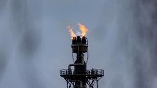 Citigroup prevé caída de petróleo pese a esfuerzos de OPEP