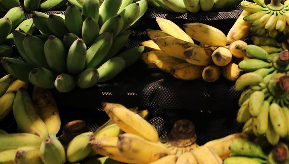 Colombia confirmó, a inicios de este mes, la presencia del hongo Fusarium R4T en cuatro de sus fincas bananeras.