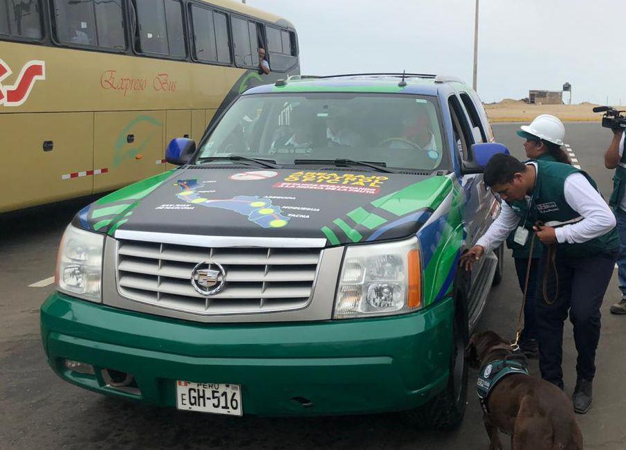 Mosca de la Fruta (Foto: Difusión)