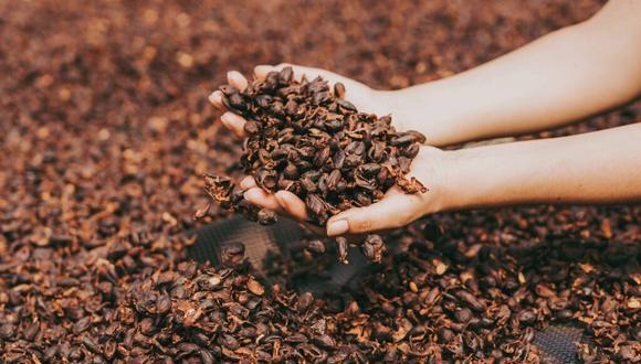 Envíos de cáscara de café aumentarían en más de 20 veces este 2023. Foto: Central CafÉ&Cacao