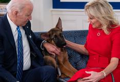 El nuevo episodio de violencia de ‘Comander’, el perro de Joe Biden: cuántas veces atacó en la Casa Blanca 