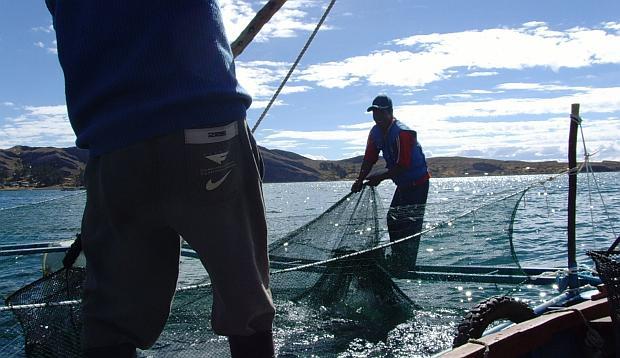 María del Carmen Abregú Báez asume como viceministra de Pesca y Acuicultura. (Foto: GEC)
