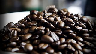 Producción de café cayó en 37% en los tres últimos años, informó la CCL