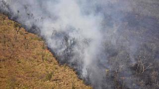 Incendios en Bolivia consumen 2 millones de hectáreas desde agosto