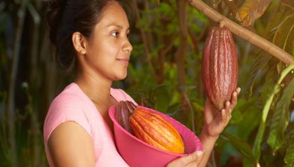 Cacao alcanzó un hito histórico al superar los 5,500 dólares la tonelada en el mercado internacional. (Foto: Andina)