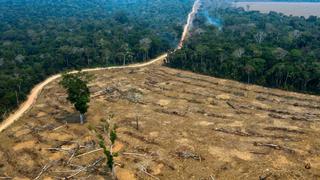 La devastación se ensaña con las ‘tierras de nadie’ de la Amazonía brasileña