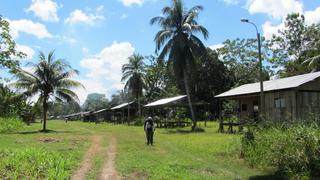 Estudio destaca crucial aporte de pueblos indígenas para evitar deforestación de la Amazonía