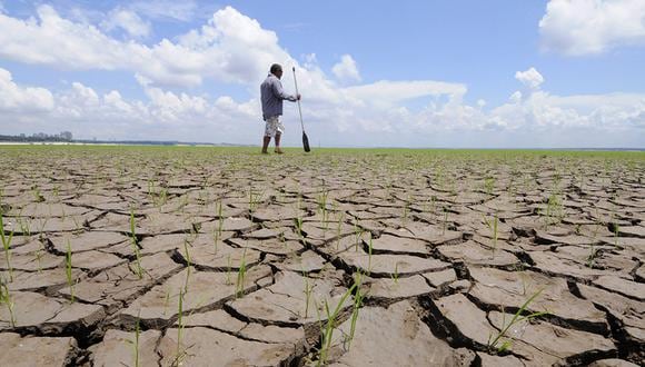 Las noticias relacionadas con la sequía son cada vez más abundantes y preocupantes a nivel global.