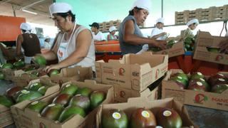 El Congreso debatirá proyecto que eleva el costo laboral en el agro