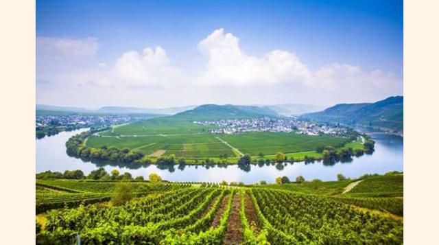 MOSEL, ALEMANIA. Aunque Alemania es mundialmente conocida por su cerveza, no podemos olvidarnos que también es uno de los países de Europa con mayor producción de vino. Mosel es muy conocido por sus vinos Riesling. Además, este lugar es digno de admirar c