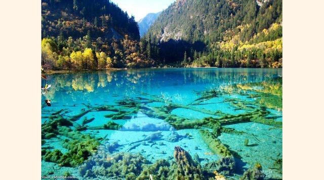 Jiuzhaigou en China es un parque que cuenta con pozas de color cristalino, cascadas, lagos y montañas elevadas. (Foto: weareoamers)