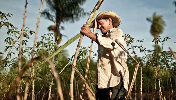 Proyecto de Ley espera cidar la salud de los pobladores que viven cerca a los cultivos de azúcar. Foto: Freepick