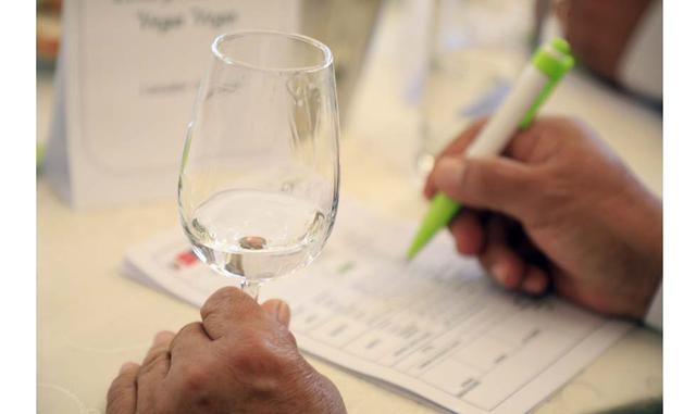 FOTO 8 | Tras un riguroso proceso de calificación en los que se evaluaron el aspecto, olor, color y sabor de nuestra bebida bandera, también se premió con medalla de oro al Don Salvattore en la categoría de Pisco Puro de Uva Quebranta; Cuneo en la categor