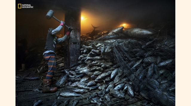 El exceso de pesca al sur de China. (Foto: Adam Dean / National Geographic)