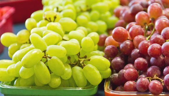 Verfrut se ha consolidado como el mayor exportador de uva en Perú, operando como Agrícola Rapel.