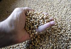 China recurrirá a la soja sudamericana en el cuarto trimestre, según analista