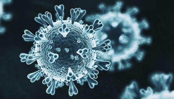 El coronavirus tiene una estructura con una proteína espiga en su superficie  (Foto: RT)