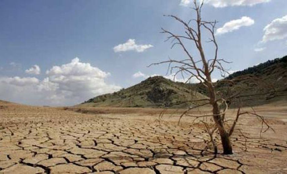 El 2013 fue el sexto año más caluroso desde 1850 | Tendencias | Gestión