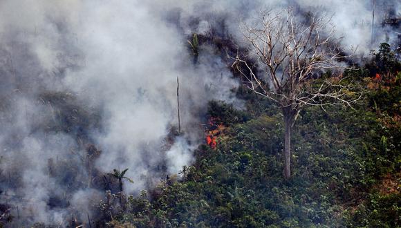 Los fotos reales del incendio en Amazonas. (Foto: AFP)