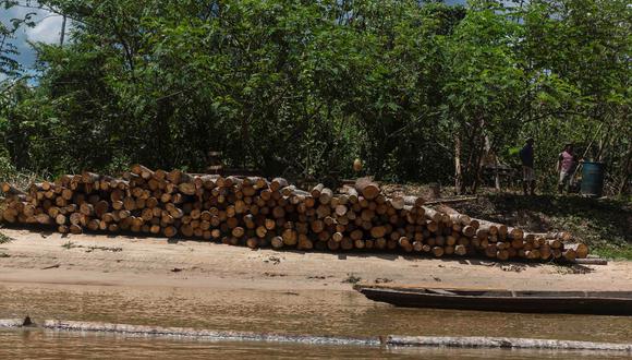 El 37% de la madera que se extrae de los bosques peruanos es ilegal, según estudio de USAID (Foto: Osinfor)