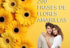 ▷ 200 frases románticas sobre flores amarillas para enviar por WhatsApp, Facebook e Instagram