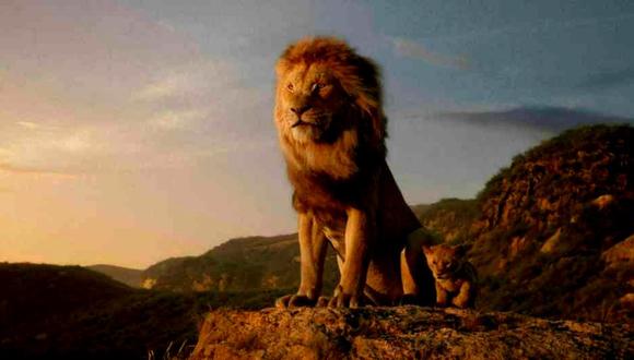 rey leon