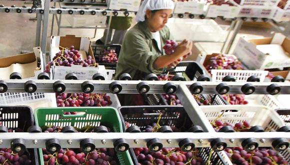 La oferta fue de uvas frescas fue de US$ 595.47 millones. (Foto: Difusión)
