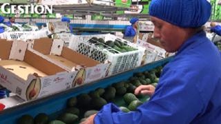 Perú es el segundo gran exportador de palta, ¿sabes cuánto es el consumo per cápita en nuestro país?